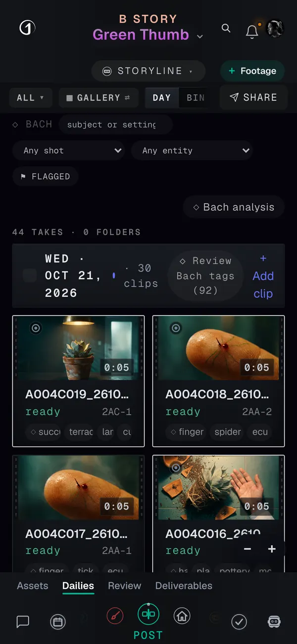 The dailies on a phone
